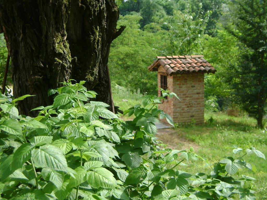 B&B Cascina Rossa Асті Екстер'єр фото
